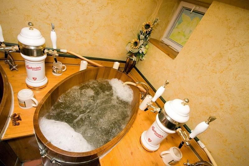 Wellness Hotel Bahenec Dış mekan fotoğraf